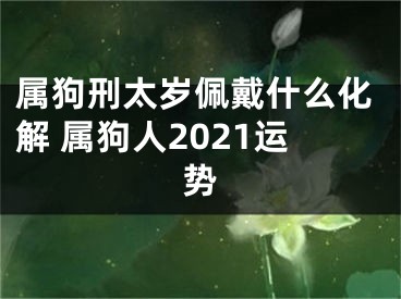 属狗刑太岁佩戴什么化解 属狗人2021运势
