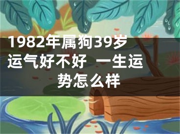 1982年属狗39岁运气好不好  一生运势怎么样