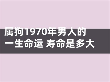 属狗1970年男人的一生命运 寿命是多大