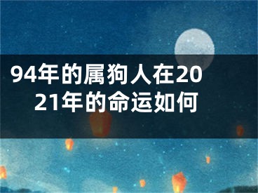 94年的属狗人在2021年的命运如何
