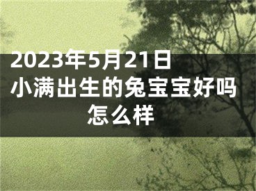 2023年5月21日小满出生的兔宝宝好吗 怎么样