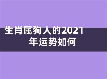 生肖属狗人的2021年运势如何