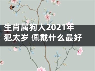 生肖属狗人2021年犯太岁 佩戴什么最好