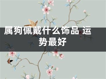 属狗佩戴什么饰品 运势最好
