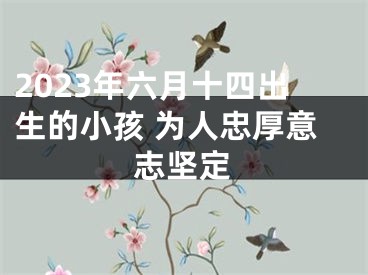 2023年六月十四出生的小孩 为人忠厚意志坚定