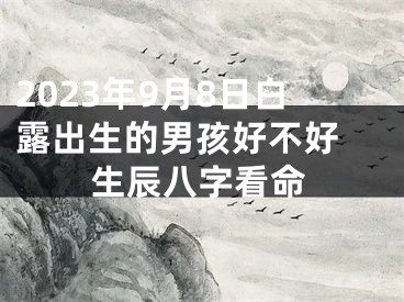 2023年9月8日白露出生的男孩好不好 生辰八字看命