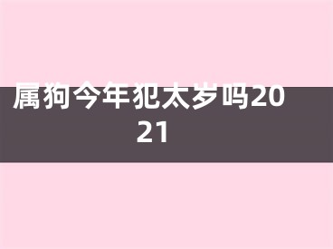 属狗今年犯太岁吗2021