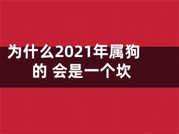 为什么2021年属狗的 会是一个坎
