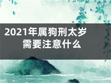 2021年属狗刑太岁 需要注意什么