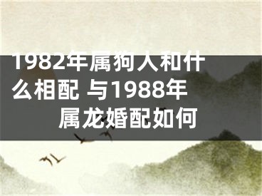 1982年属狗人和什么相配 与1988年属龙婚配如何