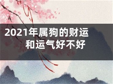 2021年属狗的财运和运气好不好
