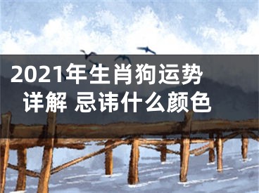 2021年生肖狗运势详解 忌讳什么颜色