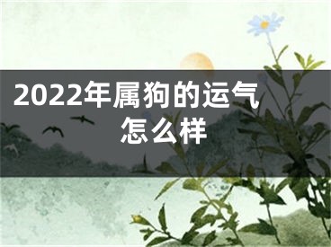 2022年属狗的运气怎么样