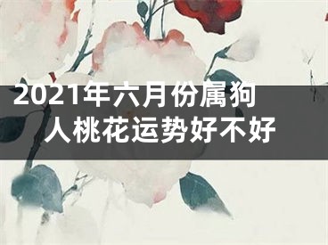 2021年六月份属狗人桃花运势好不好