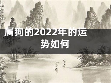属狗的2022年的运势如何