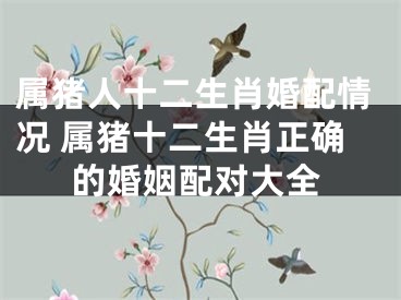 属猪人十二生肖婚配情况 属猪十二生肖正确的婚姻配对大全