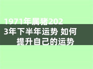 1971年属猪2023年下半年运势 如何提升自己的运势