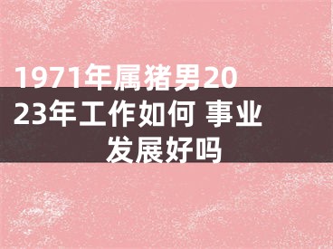 1971年属猪男2023年工作如何 事业发展好吗