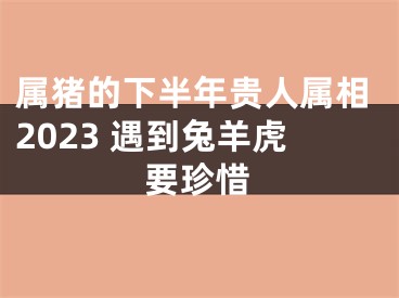 属猪的下半年贵人属相2023 遇到兔羊虎要珍惜