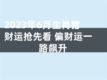 2023年6月生肖猪财运抢先看 偏财运一路飙升
