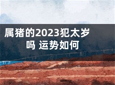 属猪的2023犯太岁吗 运势如何