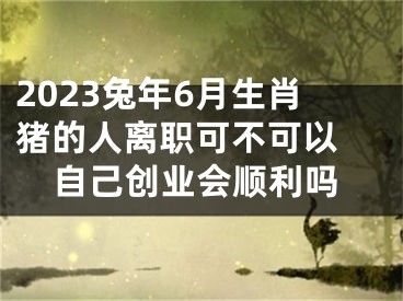 2023兔年6月生肖猪的人离职可不可以 自己创业会顺利吗