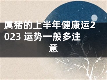 属猪的上半年健康运2023 运势一般多注意