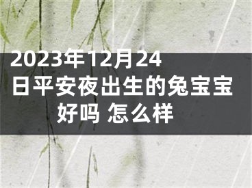 2023年12月24日平安夜出生的兔宝宝好吗 怎么样
