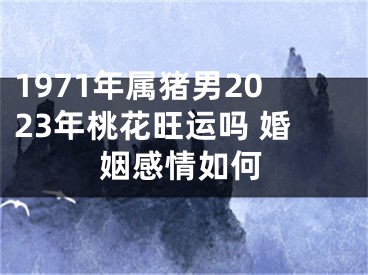 1971年属猪男2023年桃花旺运吗 婚姻感情如何