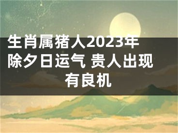 生肖属猪人2023年除夕日运气 贵人出现有良机