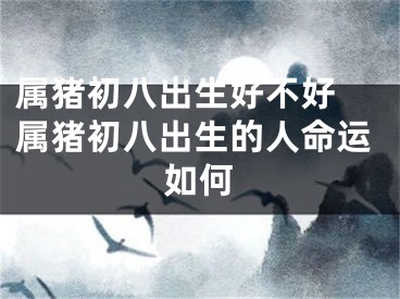 属猪初八出生好不好 属猪初八出生的人命运如何