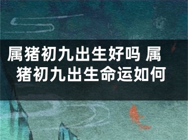 属猪初九出生好吗 属猪初九出生命运如何