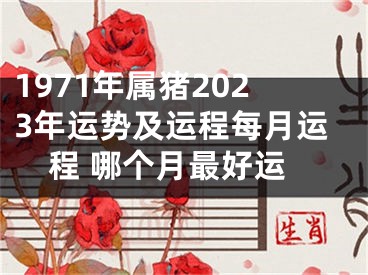 1971年属猪2023年运势及运程每月运程 哪个月最好运