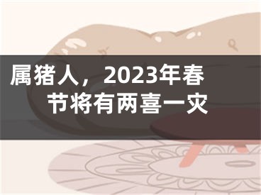 属猪人，2023年春节将有两喜一灾