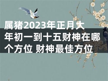 属猪2023年正月大年初一到十五财神在哪个方位 财神最佳方位