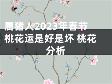 属猪人2023年春节桃花运是好是坏 桃花分析