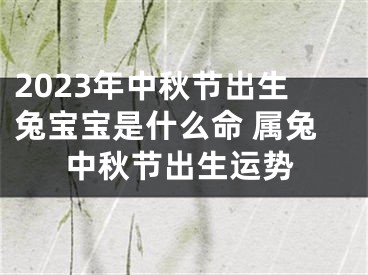 2023年中秋节出生兔宝宝是什么命 属兔中秋节出生运势