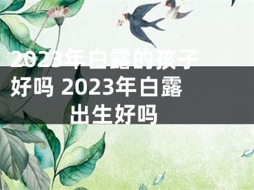2023年白露的孩子好吗 2023年白露出生好吗 