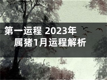 第一运程 2023年属猪1月运程解析