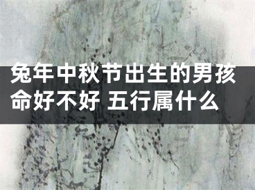 兔年中秋节出生的男孩命好不好 五行属什么