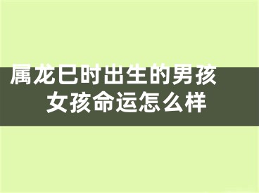 属龙巳时出生的男孩 女孩命运怎么样