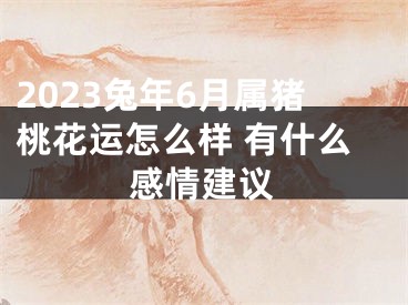 2023兔年6月属猪桃花运怎么样 有什么感情建议