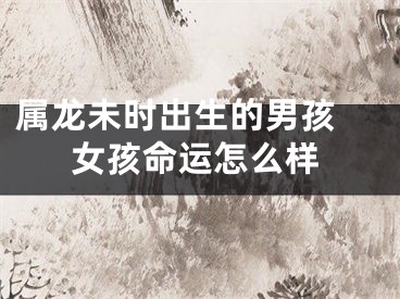 属龙未时出生的男孩 女孩命运怎么样