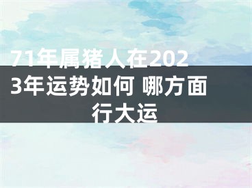 71年属猪人在2023年运势如何 哪方面行大运