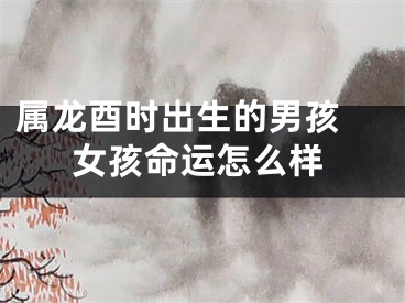 属龙酉时出生的男孩 女孩命运怎么样