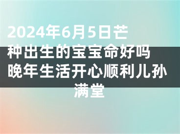 2024年6月5日芒种出生的宝宝命好吗 晚年生活开心顺利儿孙满堂