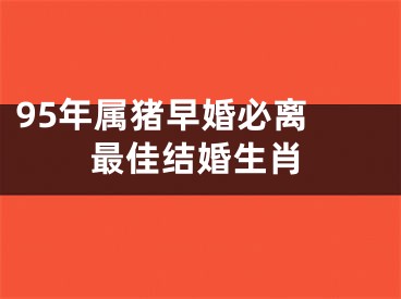 95年属猪早婚必离 最佳结婚生肖