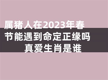 属猪人在2023年春节能遇到命定正缘吗 真爱生肖是谁