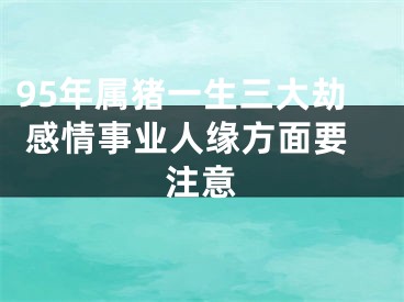 95年属猪一生三大劫 感情事业人缘方面要注意