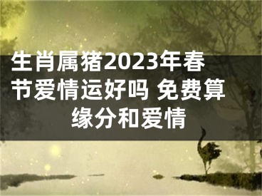 生肖属猪2023年春节爱情运好吗 免费算缘分和爱情